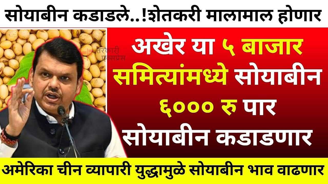 सोयाबीन बाजारभाव अचानक मोठा बदल; सर्वाधिक भाव कुठे? दरांची यादी पहा Soyabean Market Price Today